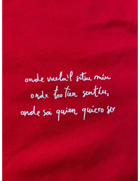 CAMISETA FAYEOS DE MAYO