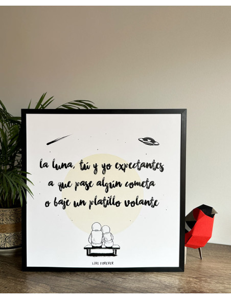 LÁMINA TURNEDO COMETA