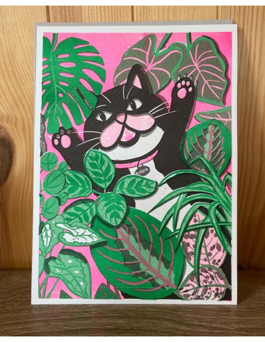 LÁMINA GATO CON PLANTAS