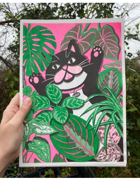 LÁMINA GATO CON PLANTAS