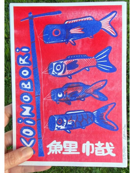 LÁMINA KOINOBORI