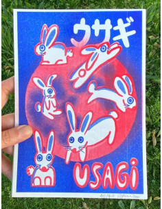 LÁMINA USAGI 2