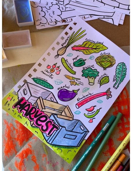 LIBRO PARA COLOREAR SOBRE NATURALEZA