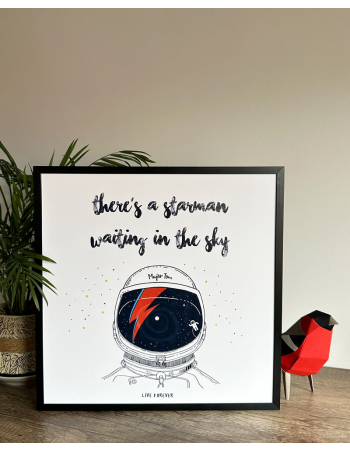 LÁMINA  STARMAN