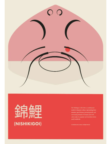 LÁMINA NISHIKIGOI