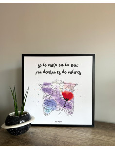 LÁMINA DE COLORES 2