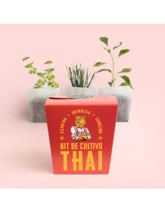KIT THAI 2