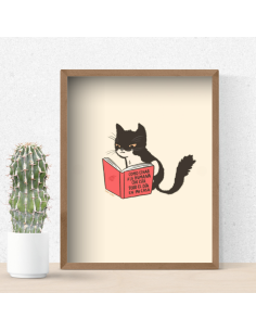 LÁMINA GATO