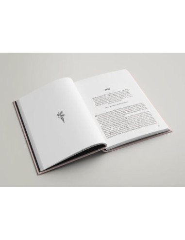 THE SMITHS 1982-87: Canciones que te salvaron...