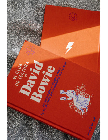 EL CLUB DE LA LECTURA DE DAVID BOWIE 2