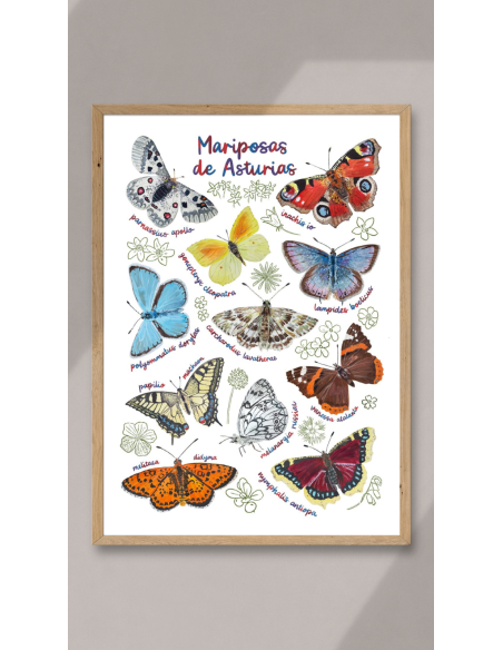 LÁMINA MARIPOSAS DE ASTURIAS