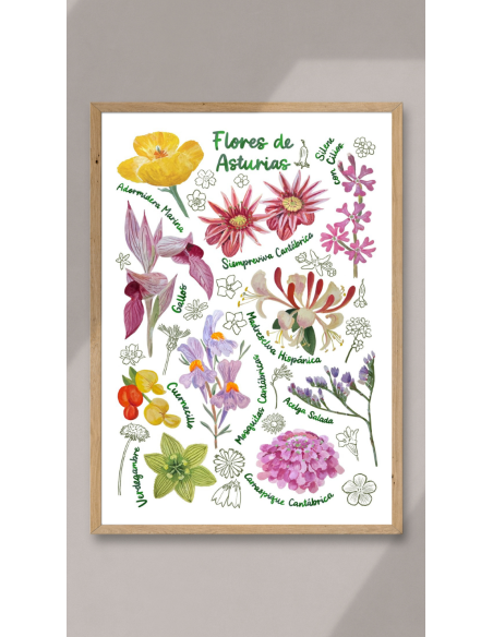 LÁMINA FLORES DE ASTURIAS