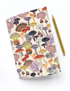 CUADERNO SETAS DE ASTURIAS 2