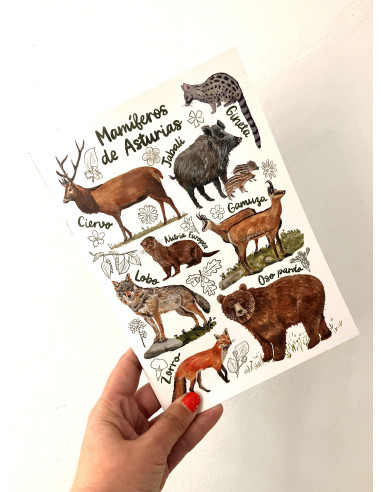 CUADERNO MAMÍFEROS ASTURIAS