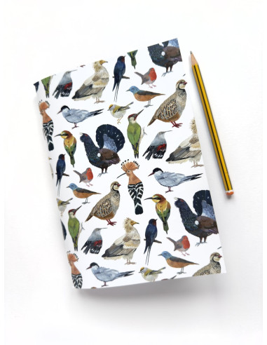 CUADERNO AVES DE ASTURIAS