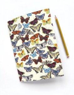CUADERNO MARIPOSAS DE ASTURIAS 2
