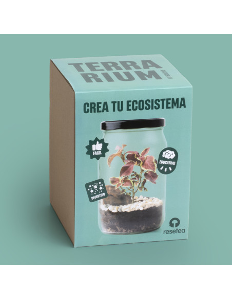 KIT TERRARIUM