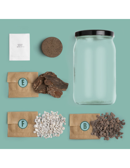 KIT TERRARIUM