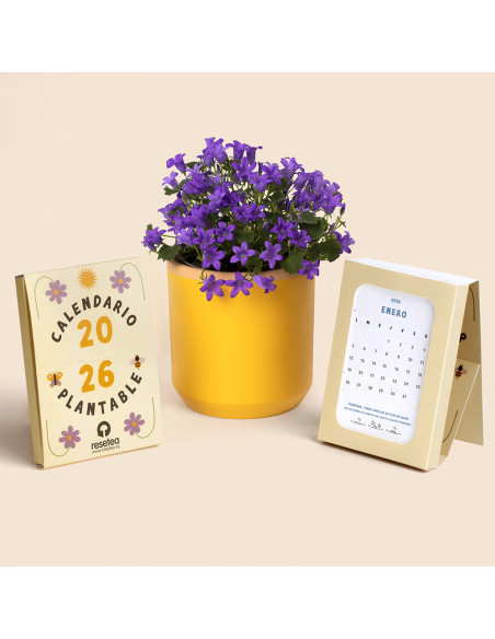 CALENDARIO PLANTABLE