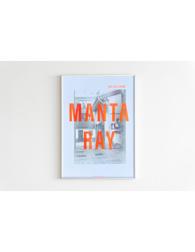 LÁMINA MANTA RAY