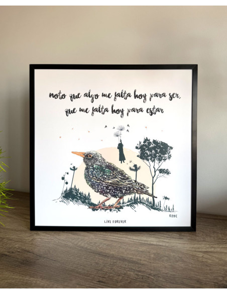 LÁMINA HOMBRE PÁJARO