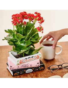 JARRÓN TRILOGIA DE JANE AUSTEN