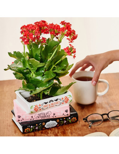 JARRÓN TRILOGIA DE JANE AUSTEN