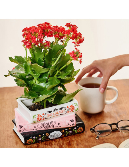 JARRÓN TRILOGIA DE JANE AUSTEN