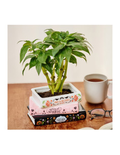 JARRÓN TRILOGIA DE JANE AUSTEN 2