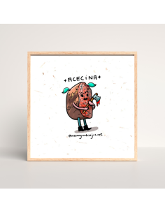 ILUSTRACIÓN ACECINA