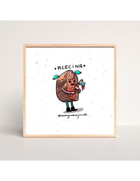 ILUSTRACIÓN ACECINA