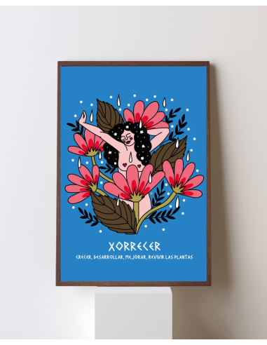 LÁMINA XORRECER
