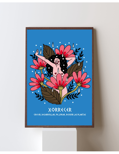 LÁMINA XORRECER
