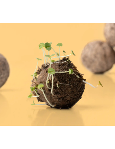 Kit DIY Haz tus Bombas de Flores