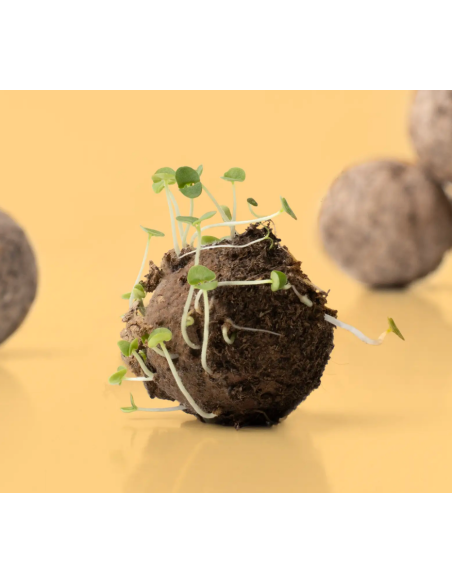 Kit DIY Haz tus Bombas de Flores