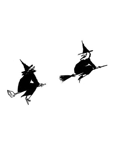 LÁMINA BRUJA Y BRUJO