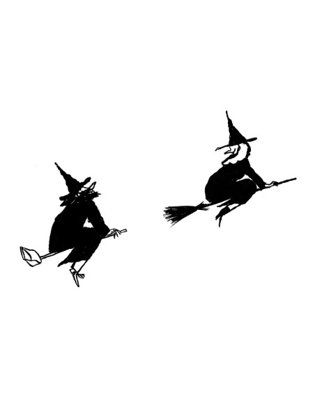 LÁMINA BRUJA Y BRUJO