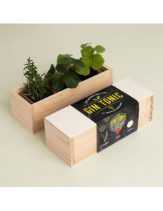 KIT AUTOCULTIVO GIN TONIC 2