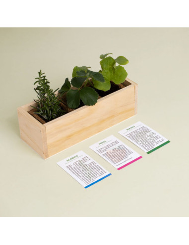 KIT AUTOCULTIVO GIN TONIC