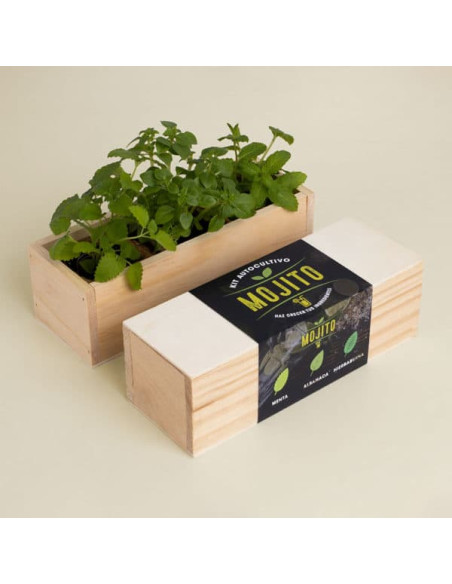 KIT AUTOCULTIVO MOJITO