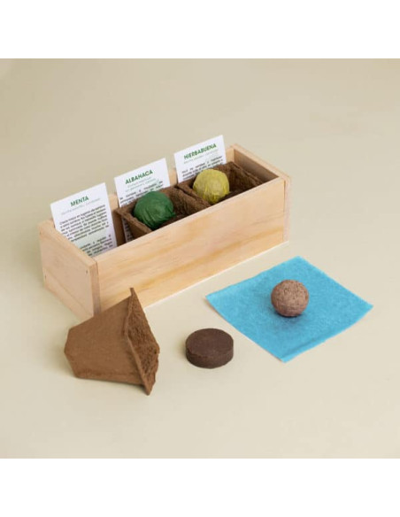 KIT AUTOCULTIVO MOJITO