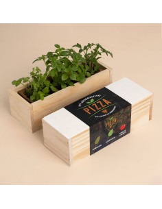 KIT AUTOCULTIVO PIZZA 2