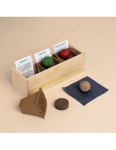 KIT AUTOCULTIVO PIZZA