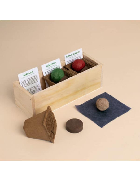 KIT AUTOCULTIVO PIZZA