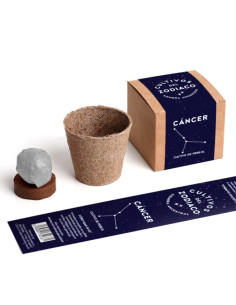 CÁNCER PLANTABLE 2