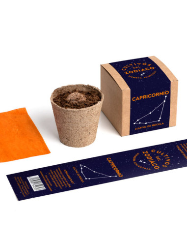 CAPRICORNIO PLANTEABLE
