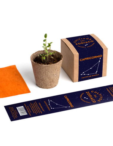CAPRICORNIO PLANTEABLE