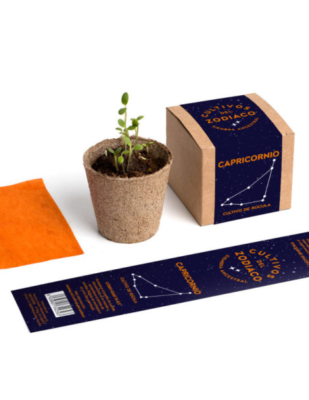 CAPRICORNIO PLANTEABLE