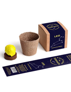 LEO PLANTABLE 2