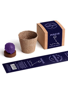 PISCIS PLANTABLE 2
